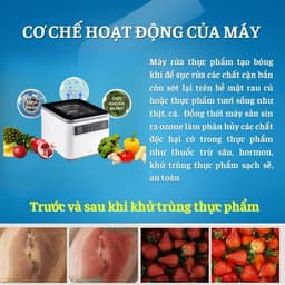 Máy rửa rau củ quả tiệt trùng thực phẩm 10L Công nghệ kháng khuẩn ion 6 lần hoàn toàn tự động 5