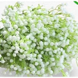 1kg Cỏ điểm hoa baby nhựa các loại dùng cho hoa sáp, hoa giả, trang trí, làm đồ handmade - PKF007 3