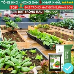 Đất Trồng Rau Tơi Xốp, Bao 2kg, Hữu Cơ, Trộn Sẵn, Tiện Lợi, Đầy Đủ Dinh Dưỡng, Chuyên Cho Rau 9