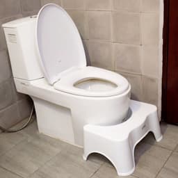 Ghế kê chân WC Việt Nhật - Ghế kê chân đi vệ sinh tiện lợi kai'sa 1