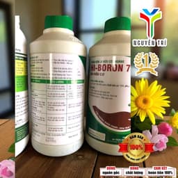 Phân Bón Lá Bo Hữu Cơ Hi-Boron 7-14 (Chai 500ml) - Hàng Úc, Chống Rụng Hoa, Nứt Trái 6