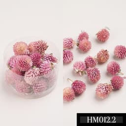 Hoa bách nhật khô làm trang trí handmade – Nguyên liệu hoa khô handmade HK012 3