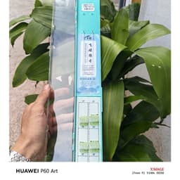 Thẻo lưỡi đôi nanh sói không ngạnh buộc sẵn câu rô diếc chép đên  săn hàng - Tặng kèm hộp đựng (20 bộ) 5