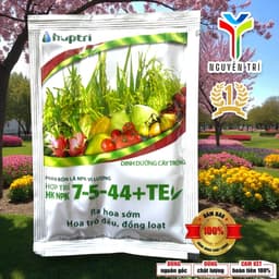 [COMBO 5 GÓI] NPK 7-5-44+TE Hợp Trí (Gói 40g) - Kích Thích Ra Hoa Sớm, Trổ Bông Đồng Loạt, Chắc Hạt 4