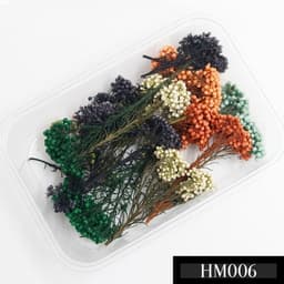 Hoa bi, hoa gạo, hoa sao, hoa cẩm tú cầu, rêu khô các loại dùng làm decor, trang trí, làm nến thơm, làm sáp thơm 3