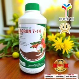 Phân Bón Lá Bo Hữu Cơ Hi-Boron 7-14 (Chai 500ml) - Hàng Úc, Chống Rụng Hoa, Nứt Trái 7