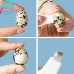 Bộ 3 Cái Bàn Chải Làm Sạch Răng Cho Trẻ Em - Loại Bỏ Tartar, Mảng Bẩn, Sử Dụng Bọt Biển Chà VN 6