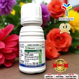 Score 250EC 50ml - Dung Dịch Chuyên Dùng Cho Nấm Bệnh, Phấn Trắng, Đốm Lá Hoa Hồng, Lan, Mai Vàng 6