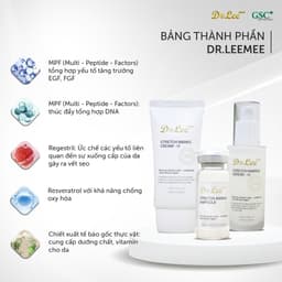 Tế bào gốc sẹo GSC, xóa sẹo rỗ, se khít lỗ chân lông, rạn da, trẻ hóa,Stretch Marks Ampoule 7