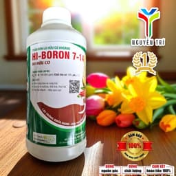 Phân Bón Lá Bo Hữu Cơ Hi-Boron 7-14 (Chai 500ml) - Hàng Úc, Chống Rụng Hoa, Nứt Trái 8