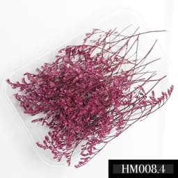 Hoa bi, hoa gạo, hoa sao, hoa cẩm tú cầu, rêu khô các loại dùng làm decor, trang trí, làm nến thơm, làm sáp thơm 5