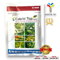 Sản Phẩm Quản Lý Nấm Bệnh Cabrio Top 600WG BASF (Gói 100g) - Công Nghệ AgCelence Giúp Cây Khỏe 6