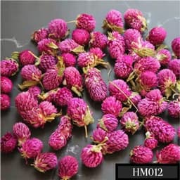 Hoa bách nhật khô làm trang trí handmade – Nguyên liệu hoa khô handmade HK012 1