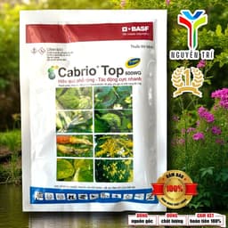 Sản Phẩm Quản Lý Nấm Bệnh Cabrio Top 600WG BASF (Gói 100g) - Công Nghệ AgCelence Giúp Cây Khỏe 3