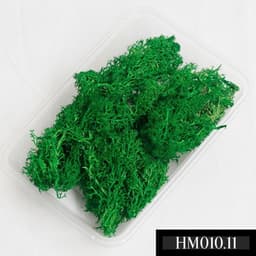 Hoa bi, hoa gạo, hoa sao, hoa cẩm tú cầu, rêu khô các loại dùng làm decor, trang trí, làm nến thơm, làm sáp thơm 6