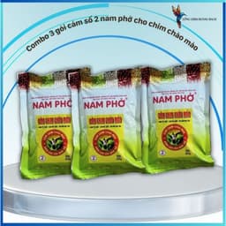 Combo 3 gói Cám chim chào mào Nam phở số 1-2 cam kết hàng chính hãng lông đẹp căng lửa 2
