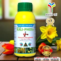 Phân Bón Hợp Trí Kali-Phos (Chai 500ml) - Lưu Dẫn 2 Chiều, Kích Kháng, Ngừa Thối Rễ, Xì Mủ 2