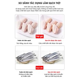 [HCM] - Máy Khử Trùng Ozone Thực Phẩm Và Rau Củ Taiwan Fresh Dung Tích 10L - Home and Garden 8