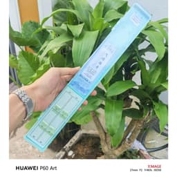 Thẻo lưỡi đôi nanh sói không ngạnh buộc sẵn câu rô diếc chép đên  săn hàng - Tặng kèm hộp đựng (20 bộ) 4