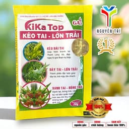 Phân Bón Kéo Tai Thanh Long KiKa Top (Gói 20g) - Giúp Kéo Dài, Dày Tai, Xanh Tai và Lớn Trái 2