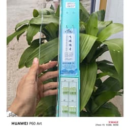 Thẻo lưỡi đôi nanh sói không ngạnh buộc sẵn câu rô diếc chép đên  săn hàng - Tặng kèm hộp đựng (20 bộ) 6