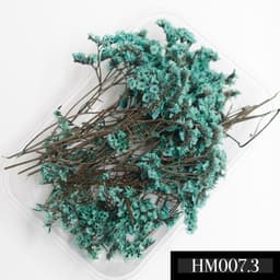 Hoa bi, hoa gạo, hoa sao, hoa cẩm tú cầu, rêu khô các loại dùng làm decor, trang trí, làm nến thơm, làm sáp thơm 4