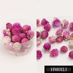 Hoa bi, hoa gạo, hoa sao, hoa cẩm tú cầu, rêu khô các loại dùng làm decor, trang trí, làm nến thơm, làm sáp thơm 7