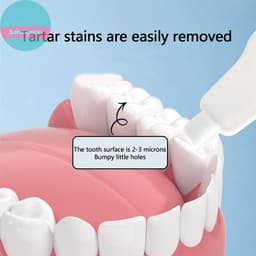 Bộ 3 Cái Bàn Chải Làm Sạch Răng Cho Trẻ Em - Loại Bỏ Tartar, Mảng Bẩn, Sử Dụng Bọt Biển Chà VN 2