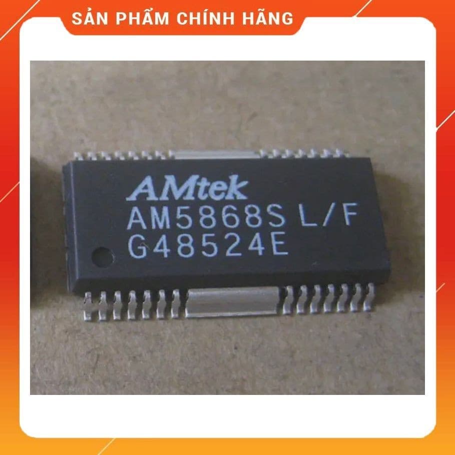 IC AM5888S L/F SOP-28pin