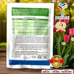 Sản Phẩm Quản Lý Nấm Bệnh Cabrio Top 600WG BASF (Gói 100g) - Công Nghệ AgCelence Giúp Cây Khỏe 4