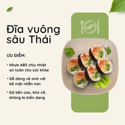 Combo 10 Đĩa nhựa vuông sâu Việt Nhật 2 size bé và trung, đĩa nhựa ABS cao cấp bền dày dặn nhà hàng 7