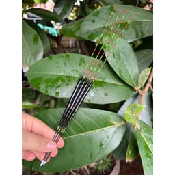 (Câu đơn, câu đài)Phao Hồng Hải chất liệu Nano chuyên chép, rô phi,diếc tín hiệu nhậy.2 size 2