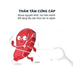 Combo 12 Hộp 500 Chiếc Tăm Chỉ Nha Khoa 2 Đầu Sợi Chỉ Mảnh,Tăm Chỉ Nha Khoa Vệ Sinh Kẽ Răng ChânNướu 9