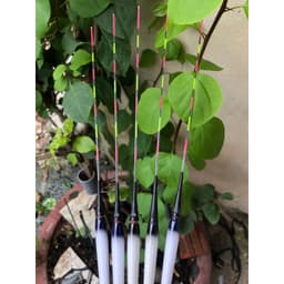 Phao câu_phao điện câu đơn,câu đài Sát Ngư cao cấp_đổi màu và không đổi màu/Chỉ định chuyên nhạy rô# 6