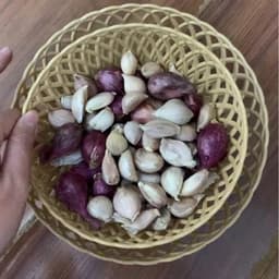 Combo 5,10 Rổ nhựa tròn kiểu dáng đan mây Việt Nhật đủ size, rổ đựng rau, hoa quả nhà hàng khách sạn 5
