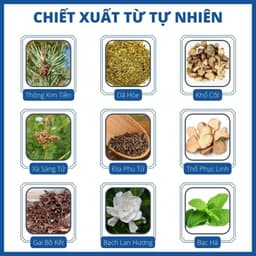 Hũ Vua Bọ Cạp Vàng: Dứt Điểm Nấm Ngứa, Tổ đỉa, á Sừng, Nấm Móng Tay Chân, Kem Bôi ông Lão 2