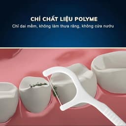Combo 12 Hộp 500 Chiếc Tăm Chỉ Nha Khoa 2 Đầu Sợi Chỉ Mảnh,Tăm Chỉ Nha Khoa Vệ Sinh Kẽ Răng ChânNướu 4