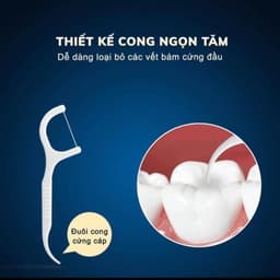 Combo 12 Hộp 500 Chiếc Tăm Chỉ Nha Khoa 2 Đầu Sợi Chỉ Mảnh,Tăm Chỉ Nha Khoa Vệ Sinh Kẽ Răng ChânNướu 8