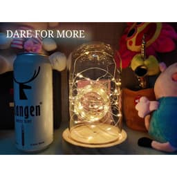 SỈ 100 đèn led đom đóm 1m sẵn pin làm hoa, hộp quà 4