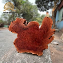 Mặt Bàn Tròn Cafe, Sofa, Gỗ Nhãn Nguyên Khối Tự Nhiên (Không Kèm Chân) 8