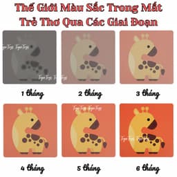 Đồ chơi cho bé sơ sinh, tranh kích thích thị giác, thẻ trắng đen in mực đậu nành, an toàn, chuyên nghiệp 7