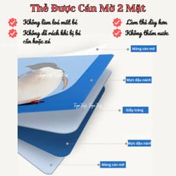 Đồ chơi cho bé sơ sinh, tranh kích thích thị giác, thẻ trắng đen in mực đậu nành, an toàn, chuyên nghiệp 5