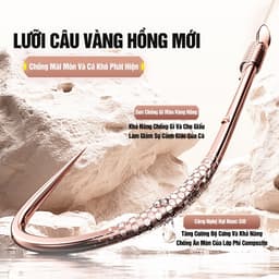 Thẻo Câu Đài Định Kiếm Hộp 20 Bộ Thẻo Buộc Sẵn Lưỡi Vàng Hồng Cao Cấp Chuyên Rô Diếc Chép 2