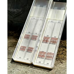 Thẻo Câu Đài Định Kiếm Hộp 20 Bộ Thẻo Buộc Sẵn Lưỡi Vàng Hồng Cao Cấp Chuyên Rô Diếc Chép 9