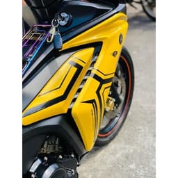 Dàn áo Ex 155 vàng đen có tem (9 món) 3