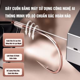 Thẻo Câu Đài Định Kiếm Hộp 20 Bộ Thẻo Buộc Sẵn Lưỡi Vàng Hồng Cao Cấp Chuyên Rô Diếc Chép 3