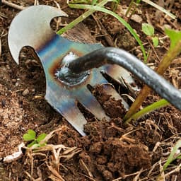 Dụng Cụ Làm Vườn Bằng Thép Mangan Loại Bỏ Cỏ Dại Mới - Loại nhỏ 4 răng-89 3