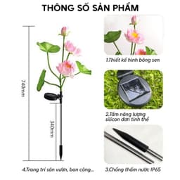 Đèn LED năng lượng mặt trời HOA SEN chống nước Trang trí Sân vườn Đám cưới Ngày lễ 4