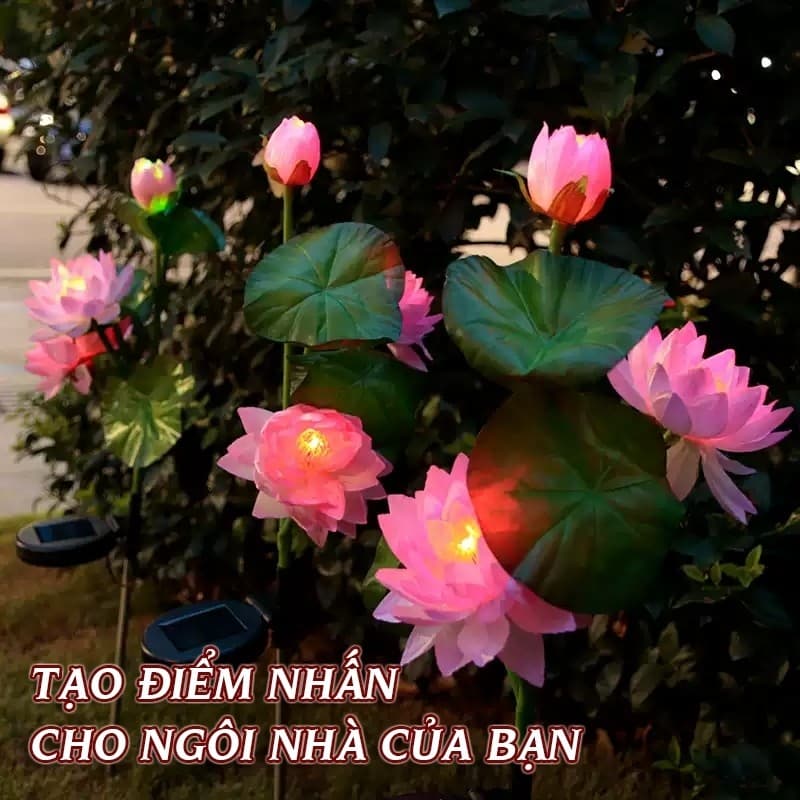 Đèn LED năng lượng mặt trời HOA SEN chống nước Trang trí Sân vườn Đám cưới Ngày lễ