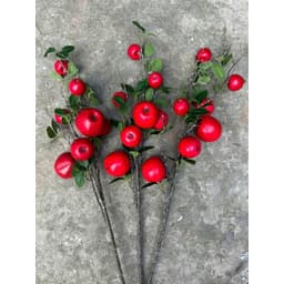 MIỄN SHIP Cành táo, quýt 7 quả hàng loại đẹp trang trí nhà cửa... 6